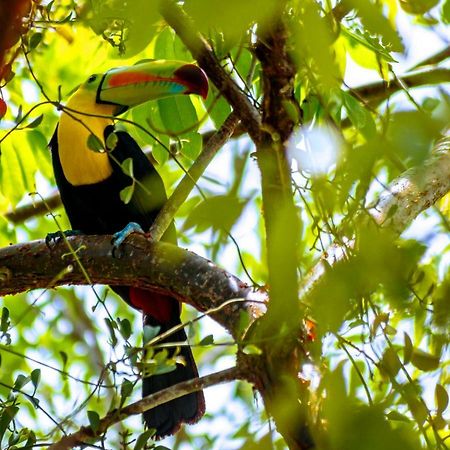 Ecolodge El Sombrero Laguna Yaxha Kültér fotó