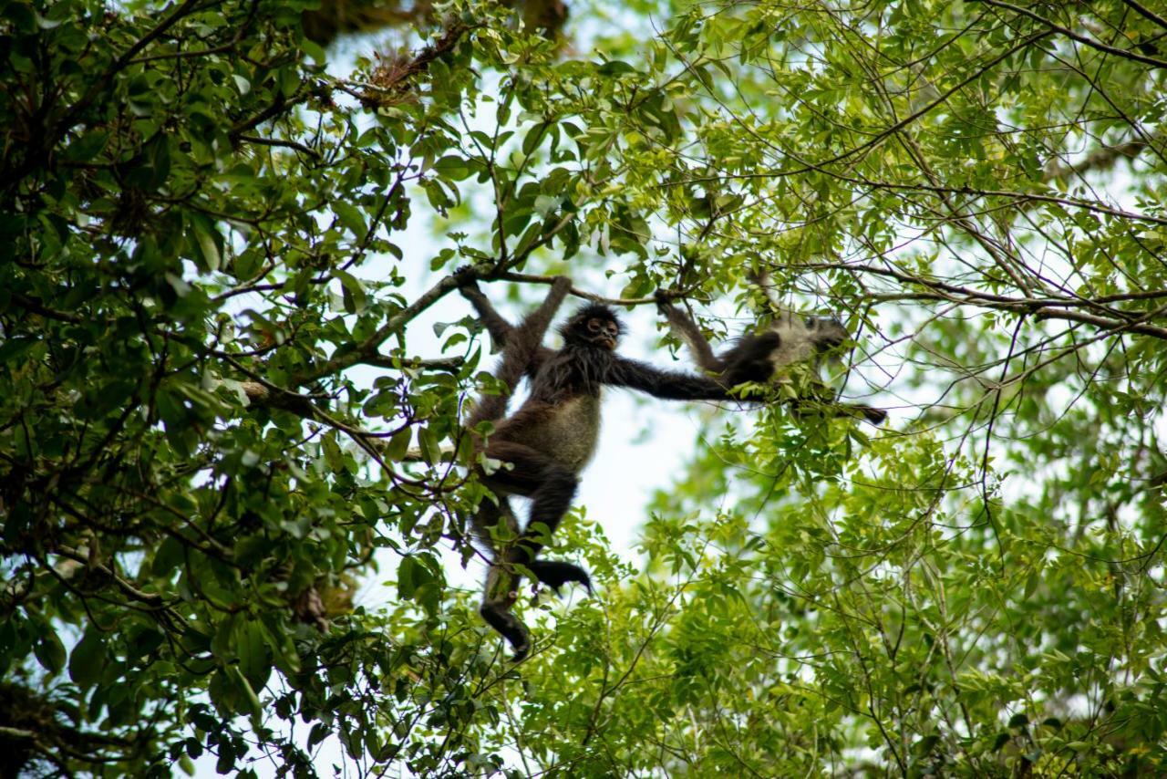 Ecolodge El Sombrero Laguna Yaxha Kültér fotó