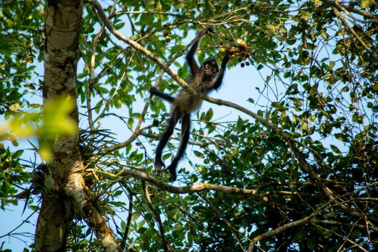 Ecolodge El Sombrero Laguna Yaxha Kültér fotó
